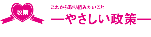 これから取り組みたいことやさしい政策